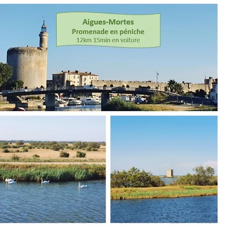 Au Bord Du & Golf Avec Parking Prive Clim Wifi - 4 Personnes - Rossiconciergerie - Linge Inclus Daire *